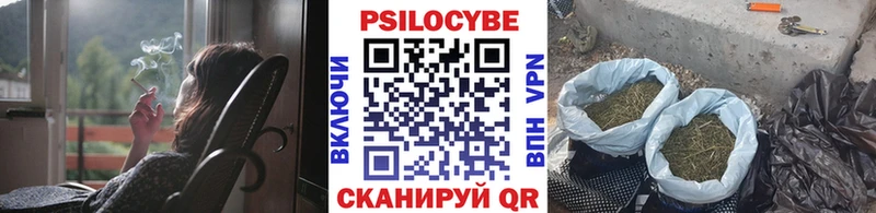 Галлюциногенные грибы ЛСД  маркетплейс официальный сайт  Ефремов 